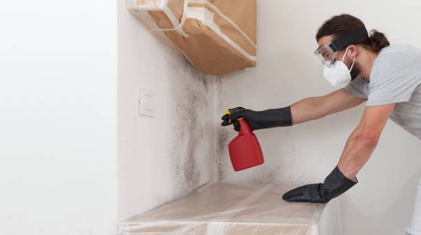 Professional Bathroom Mold Removal technician working in Pittsboro, NC